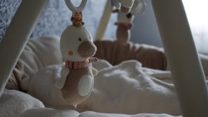 מוצרים לתינוקות באינטרנט