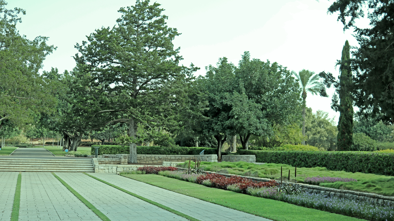 מה לעשות בזכרון יעקב