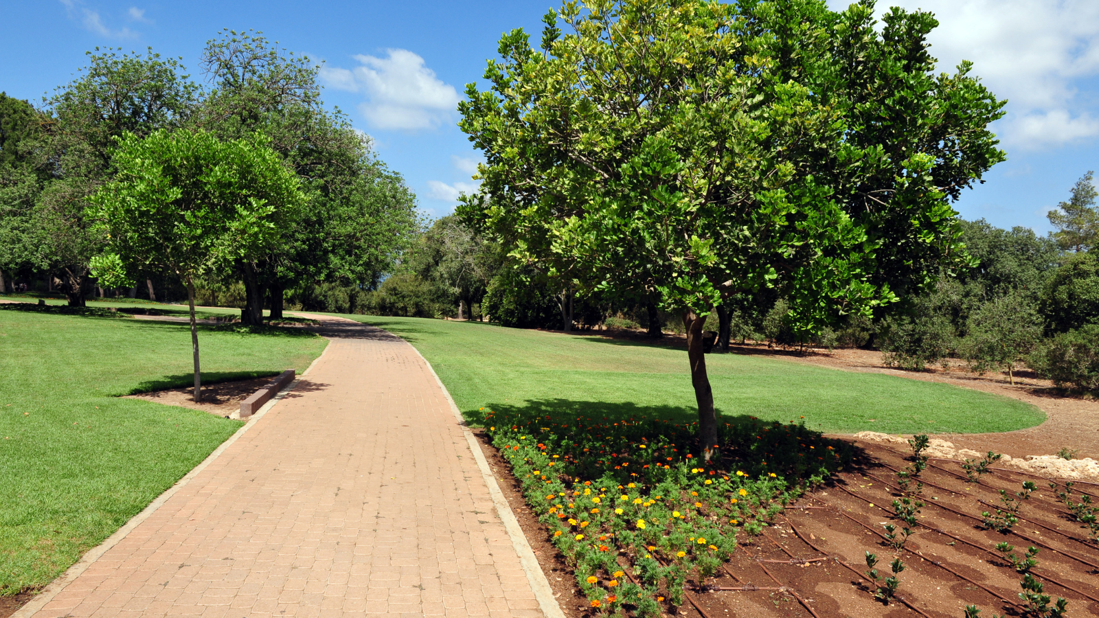 מה לעשות בזכרון יעקב